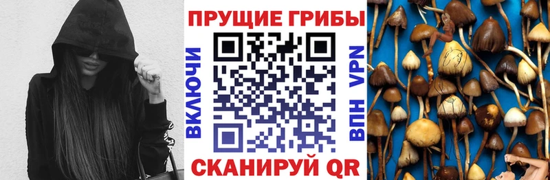 Галлюциногенные грибы Cubensis  Слободской 